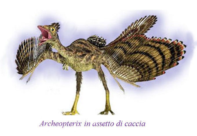 Archeopterix