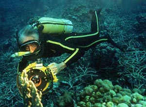 Ripresa subacquea di Jean Cousteau