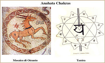 Antilope e chakra