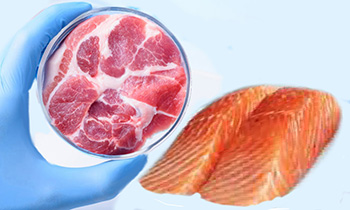 carne e pesce sintetici