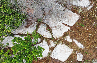 Particolare della possibile testa fossilizzata di un Megalodonte presso i Massi della Vecchia vista dal drone.
