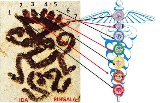 Ida e Pingala con i sette chakra nel pittogramma dello sciamano vivente 