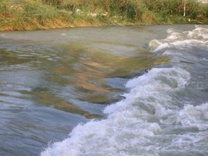 La rapida di Ponte Milvio