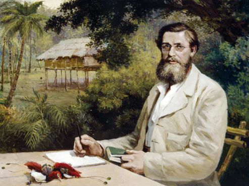 Victor Evstafieff «Alfred Russel Wallace»